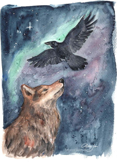 Wolf, Rabe, crow, Krähe, Aquarell, Kunstwerk, Original, Gemälde, Illustration, Wolfaquarell, contemporaryart, zeitgenössische Kunst, watercolour, watercolor, aquarela, aquarelle