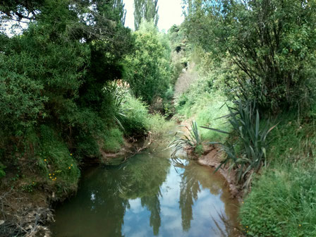 Waitomo Walkway: Am Fluss entlang...