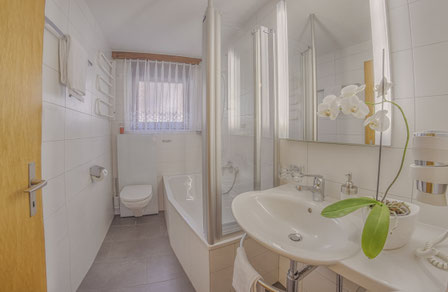 Bathroom / Bergrose