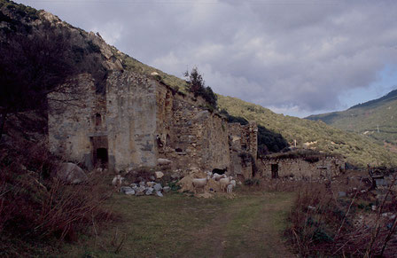 Olmeto - ruines du couvent de capucins Saint-Antoine abbé (1717) - cl.mh