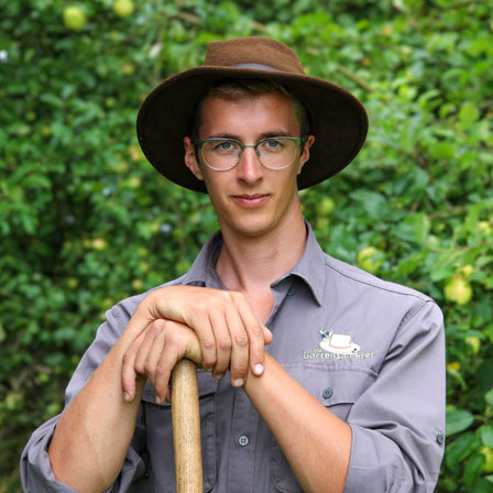B. Röhr