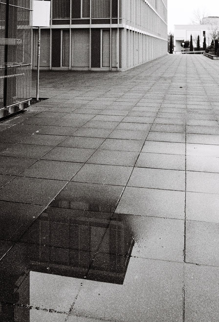 Kunstmuseum Bonn, Schwarz-Weiss, Monocrome, Film, Kodak, Analog, Analogfotografie, Filmfotografie, Museumsmeile, 