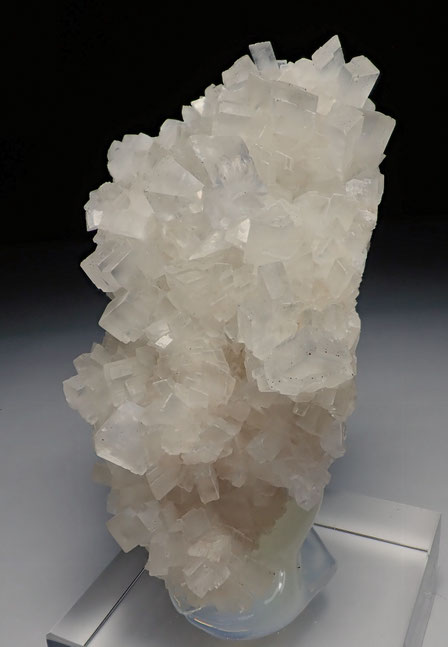 Eugui Dolomite