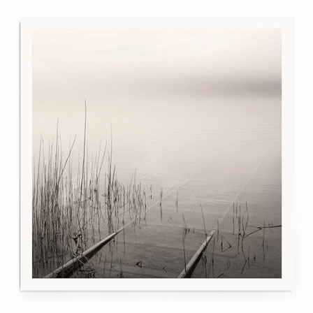 "Reed At The Lake" Art Print. Beschreibung: Minimalistische Fotografie in schwarz-weiß, Naturmotiv, Schilf und Wasser.