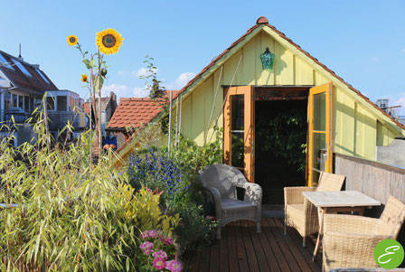 Studio mit Dachterrasse