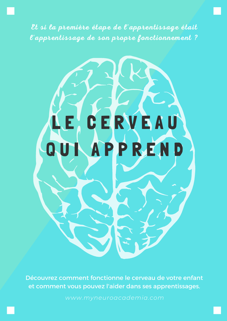 Cerveau. Apprentissage. Le cerveau qui apprend. Anthony Godin.