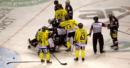 Krefeld Pinguine