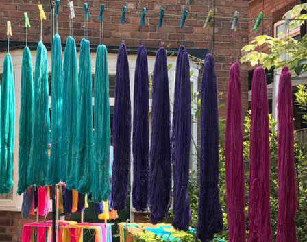 Freshly dyed yarn skeins hanging out in the sun to dry. Teal, purple, deep pink.