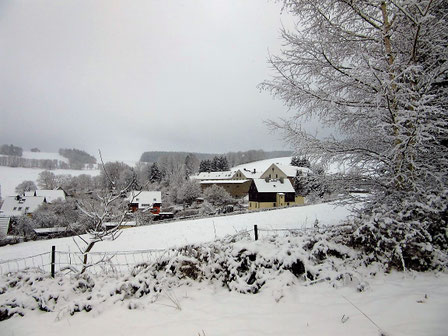Das Oberdorf mit Lehngut im Januar 2018