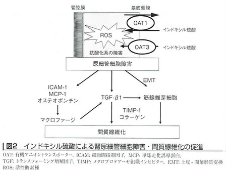 クレメジン®（慢性腎臓病の薬）2