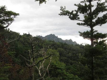 唯一展望のあった場所から見えた瑞牆山
