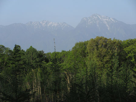 好天の朝だったが、霞んでボーッとした眺めの甲斐駒と鳳凰三山