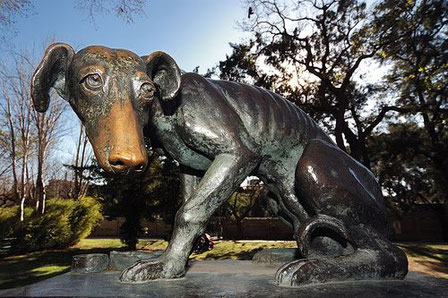 Zoológico de Barcelona, 1978.