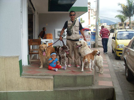 Paseadores en Medellín... presionando la foto.