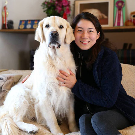 About Astrum ケネル アストラム Goldenretrievers