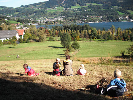 Blick vom Kindergartenwald auf den Mondsee.