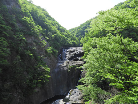 イベント ハイキング パノラマ台 富士山 トミーワン アウトドアショップ 群馬県太田市