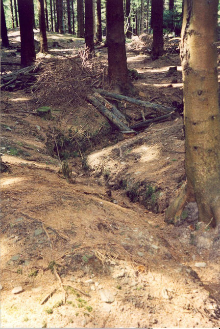 The Ochsenkopf was one of the heavy fighting area to prevent the Us Forces from taking the Kall valley. The signs of the trenches are still very good visible even after 59 years. Trenches still clearly visible