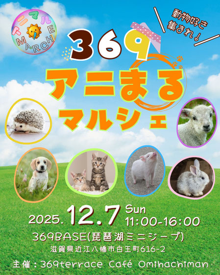 滋賀県　近江八幡市　マルシェ　イベント　出店　屋内　あすわ　銀河のマヤ　マヤ個人セッション　お試しセッション