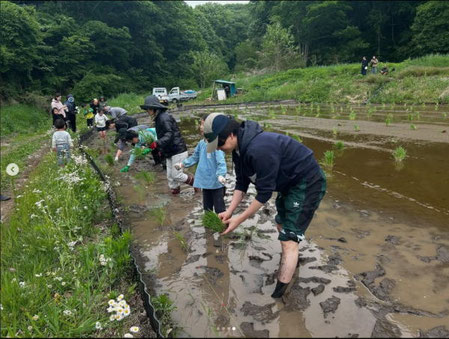 大人も子供も夢中になって、自然と笑い声が響く田植え体験