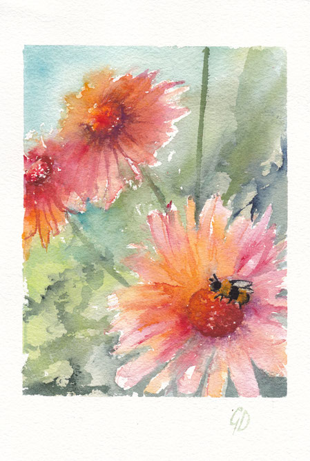 Biene auf Gerbera, 19x28 cm, 250€