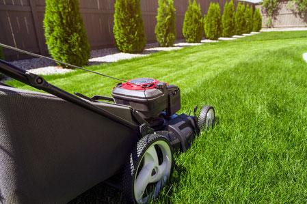 Gartenpflege Franke - Ihr Landschaftsgaertner für Garten- und Außenneuanlage, Gartenpflege und Gartenarbeit in Nidda, Hungen, Lich, Buedingen, Bad Homburg, Butzbach, Altenstadt, Bad Vilbel und Wölfersheim