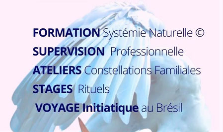 Omea est une association de développement personnel et thérapeutique : stages et formations aux constellations familiales systémiques, à Paris et ïle-de-France, Toulouse (31), La-Rochelle en Charente--maritime (17).