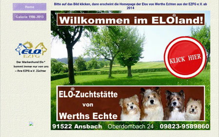 Hund für ADHSler