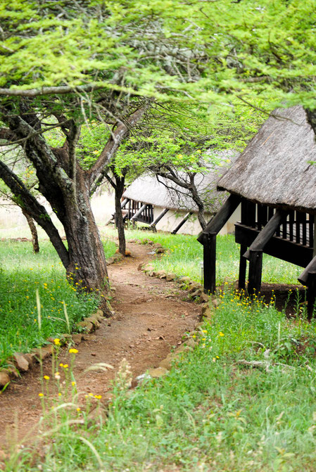 Auf dem Gelände der Ulwazi Lodge, die Wege zu den verschiedenen cabins