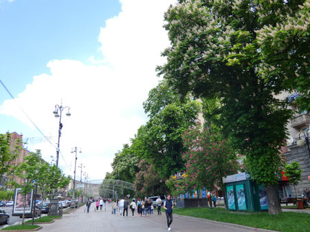 Khreshchatyk street with chestnut trees