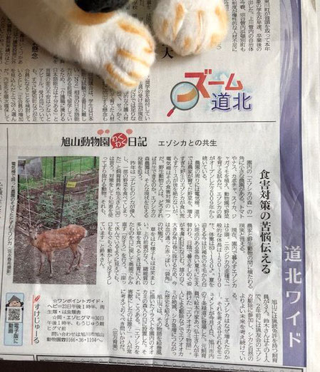 2019.6.17北海道新聞朝刊道北版の写真