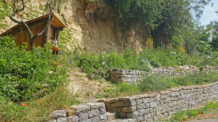 Wildbienengarten Schatthausen, Foto: A. Treffer