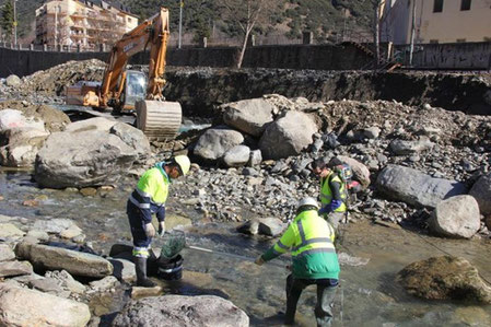 Rescat de les truites al Noguera Pallaresa. Foto: Ivet Eroles