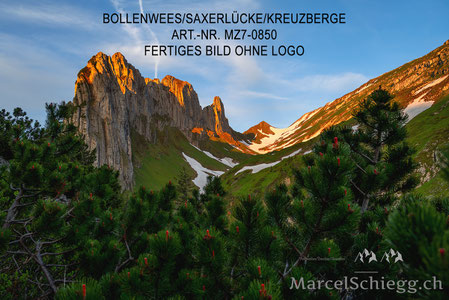 Bollenwees, Bollenwees Fählensee, Fählensee Alpstein, Wandern Bollenwees, Alpstein Bergsee, Bollenwees Bilder, Fählensee Fotos, Alpstein Fotogalerie, Bergsee Schweiz Bilder, Saxerlücke