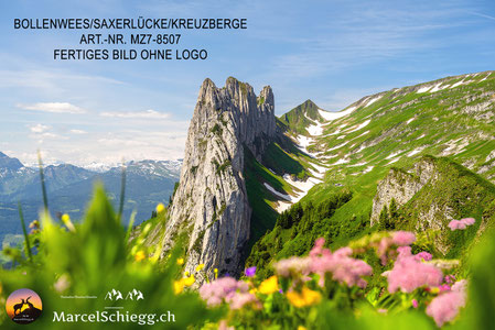 Bollenwees, Bollenwees Fählensee, Fählensee Alpstein, Wandern Bollenwees, Alpstein Bergsee, Bollenwees Bilder, Fählensee Fotos, Alpstein Fotogalerie, Bergsee Schweiz Bilder, Saxerlücke