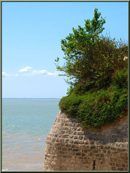 Anciennes fortifications de la Promenade des Remparts avec vue sur La Gironde à Talmont-sur-Gironde, Charente-Maritime