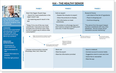 Overview User Journey Kai, The Healthy Senior 