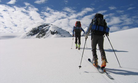 bosque de nieve 