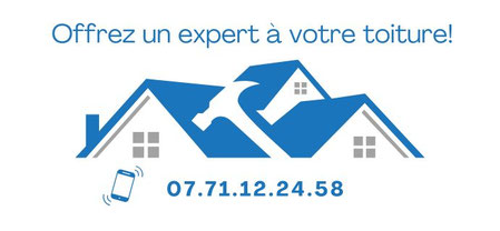 nettoyage toiture villeurbanne