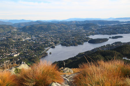 Der Fjord von oben