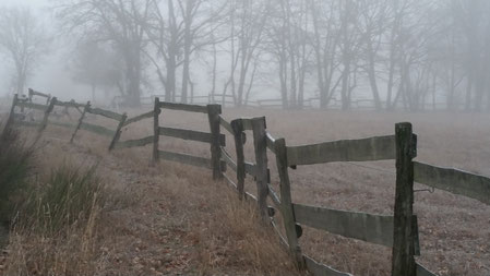 Ein alter Holzzaun im Nebel