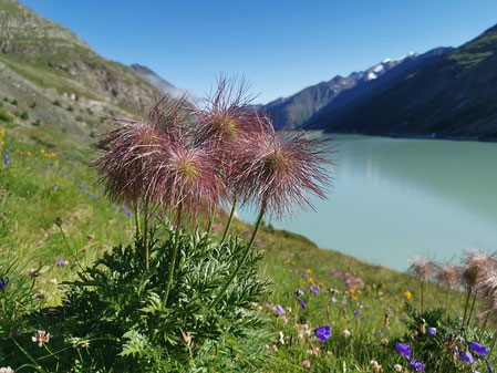 Heiligenblut am Großglockner