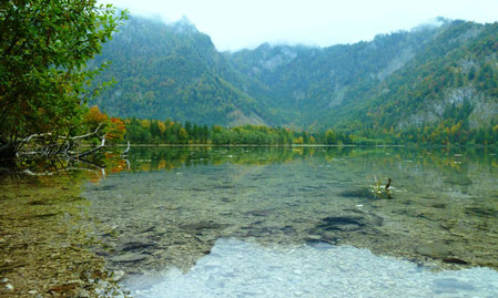 Offensee