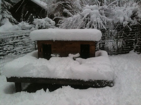 Les niches se transforment en igloo!