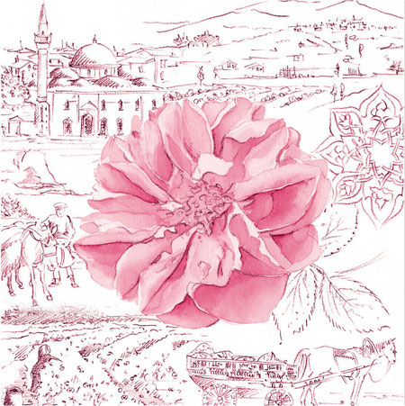 LA ROSE - ROSE DAMASCENA 