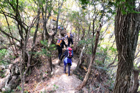 尾根に出ても急登が続く