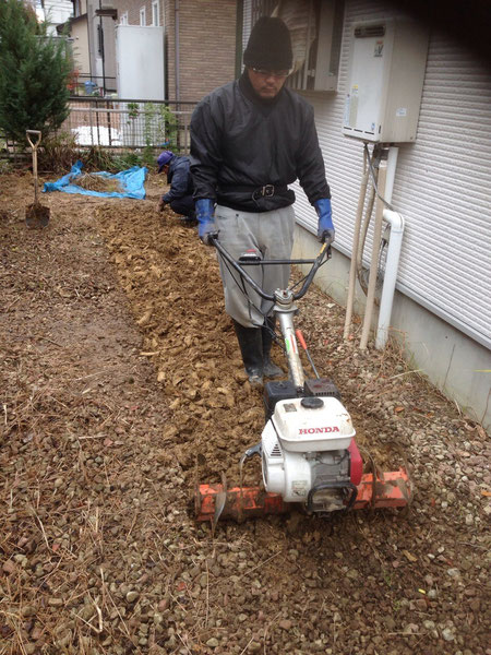 その後、開墾して草の根を取り除きます。