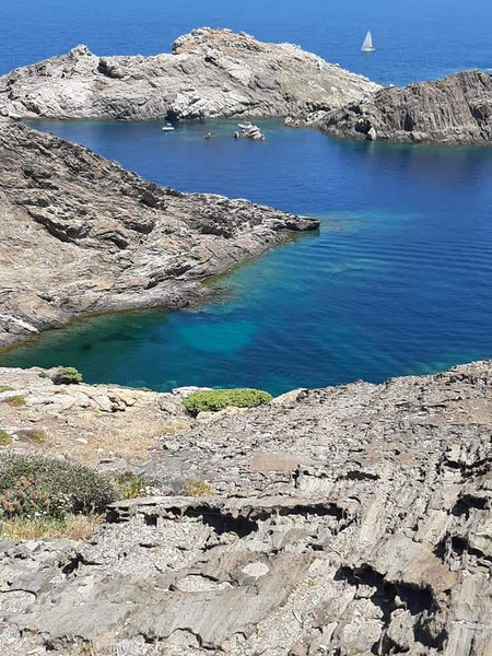 Cap creus, costabrava, espagne, crique,mer, nature