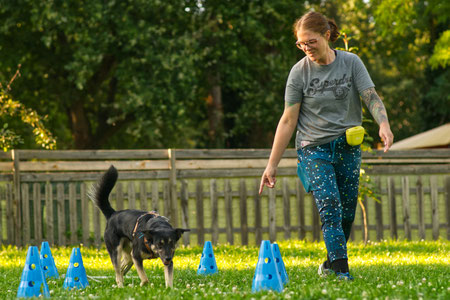 Eine Frau übt mit ihrem mittelgroßen Hund an blauen Pylonen.