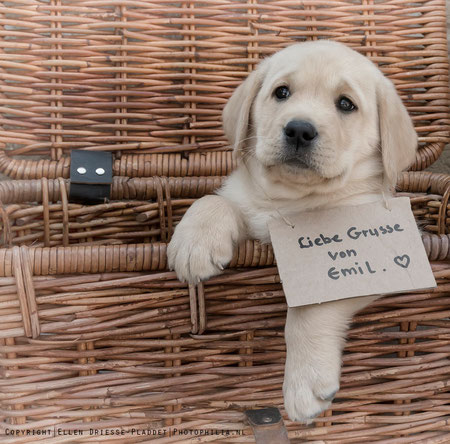 Liebe Grüße von Emil. Credit: Ellen Driesse-Pladdet/photophilia.nl